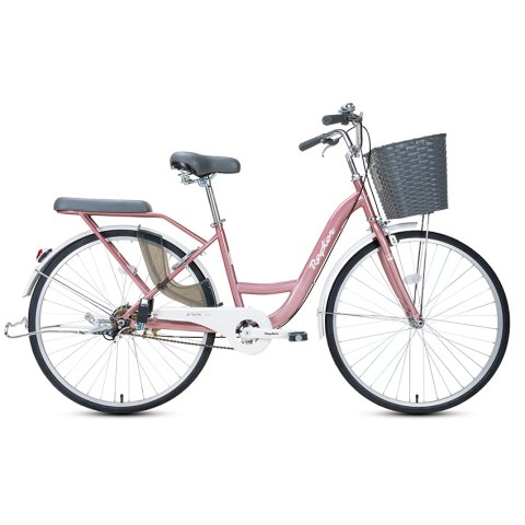 Xe Đạp Đường Phố Touring RAPTOR Eva 4 - Bánh 26 Inch